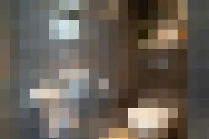 Betje Wolfflaan 6 Veenendaal thumbnail 18