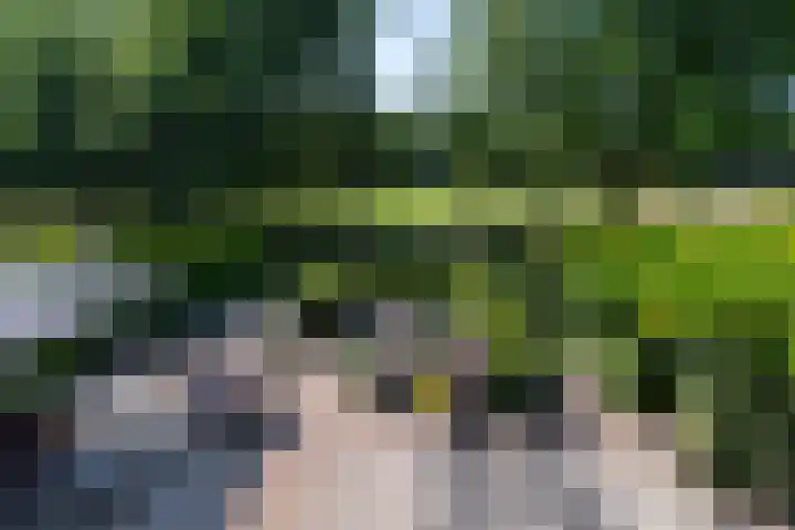 Betje Wolfflaan 6 Veenendaal foto 2