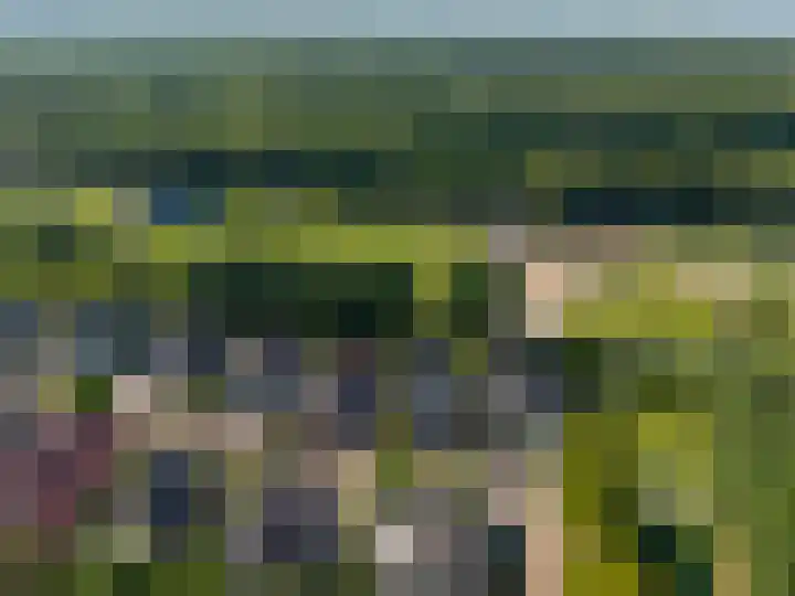 Betje Wolfflaan 6 Veenendaal foto 3