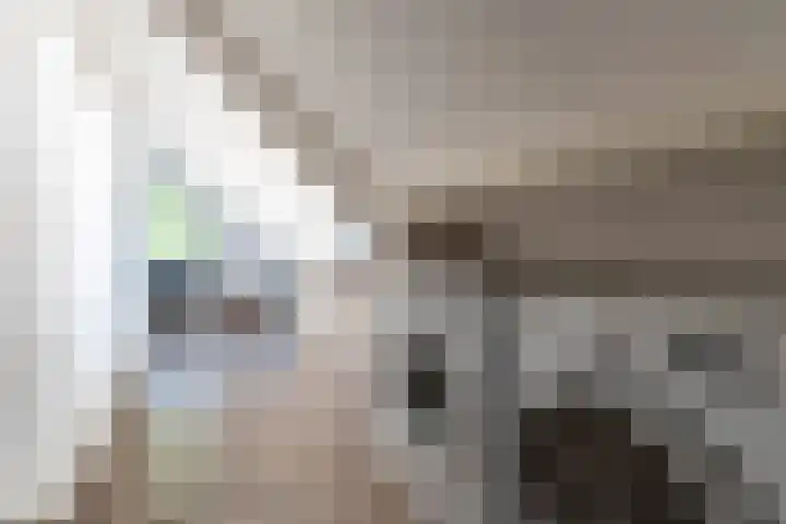 Betje Wolfflaan 6 Veenendaal thumbnail 31