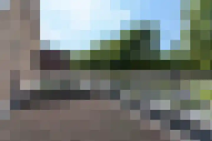 Betje Wolfflaan 6 Veenendaal thumbnail 33