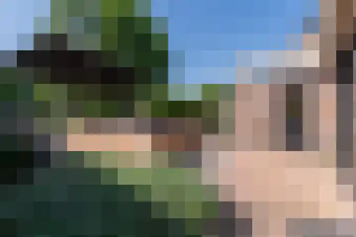 Betje Wolfflaan 6 Veenendaal thumbnail 40