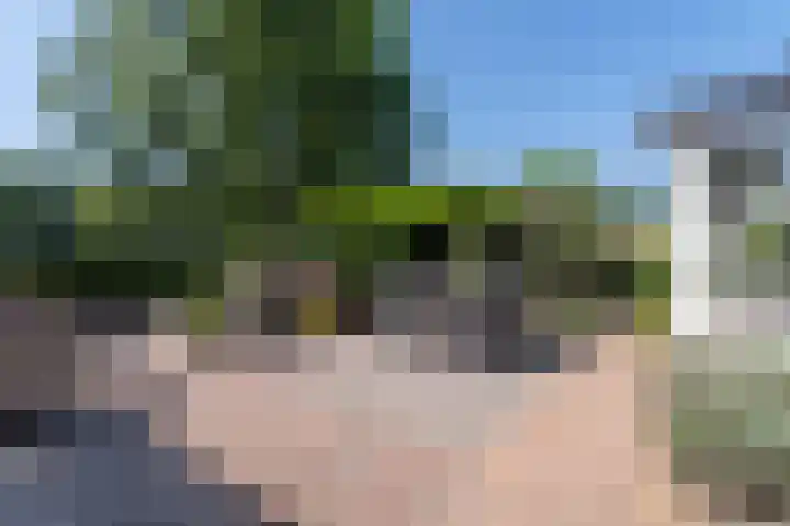 Betje Wolfflaan 6 Veenendaal thumbnail 41