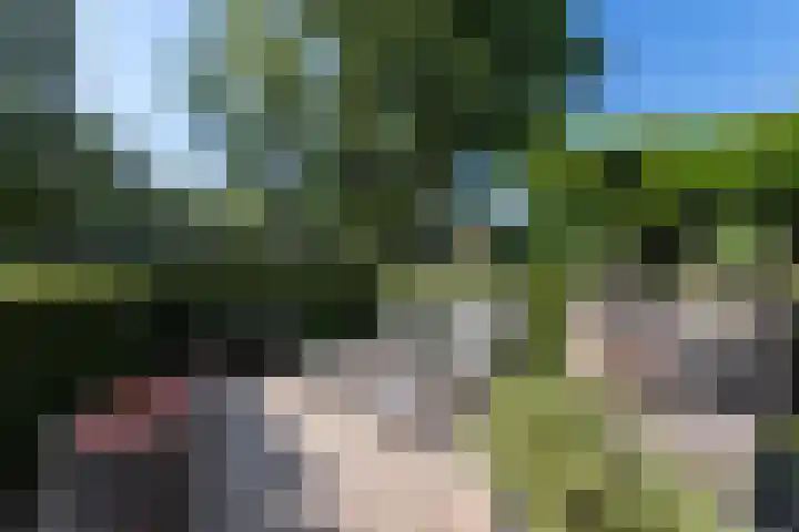 Betje Wolfflaan 6 Veenendaal thumbnail 42