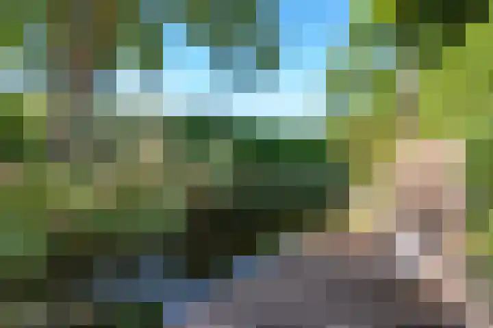 Betje Wolfflaan 6 Veenendaal thumbnail 47
