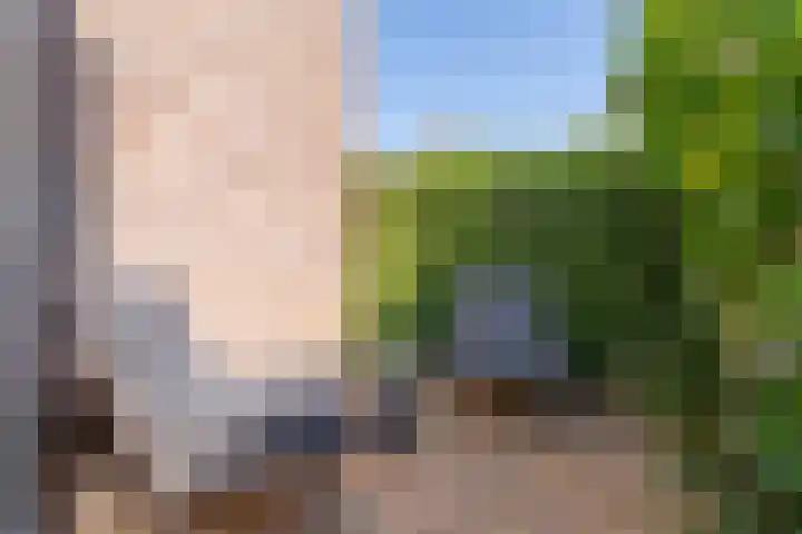 Betje Wolfflaan 6 Veenendaal thumbnail 48