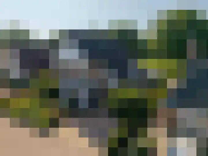 Betje Wolfflaan 6 Veenendaal thumbnail 51
