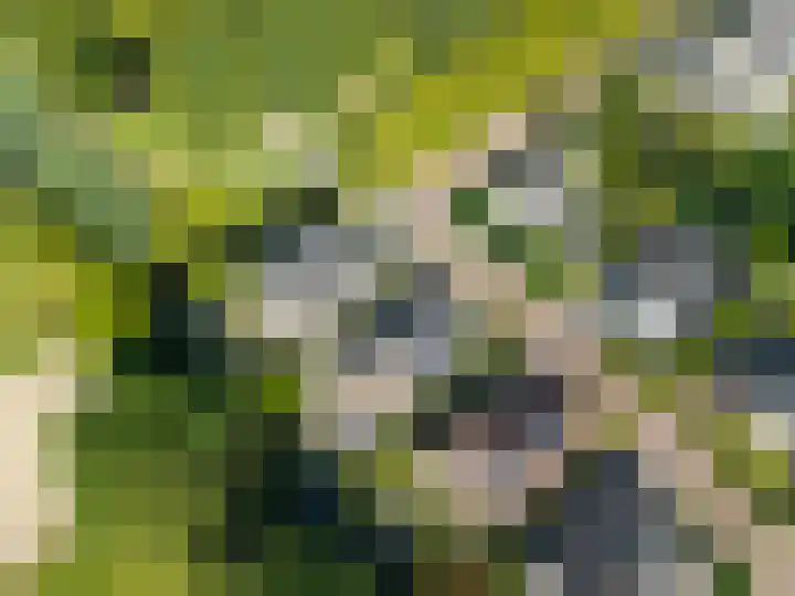 Betje Wolfflaan 6 Veenendaal thumbnail 54