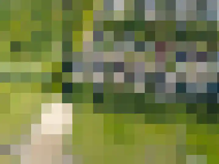 Betje Wolfflaan 6 Veenendaal thumbnail 55
