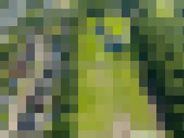 Betje Wolfflaan 6 Veenendaal thumbnail 56