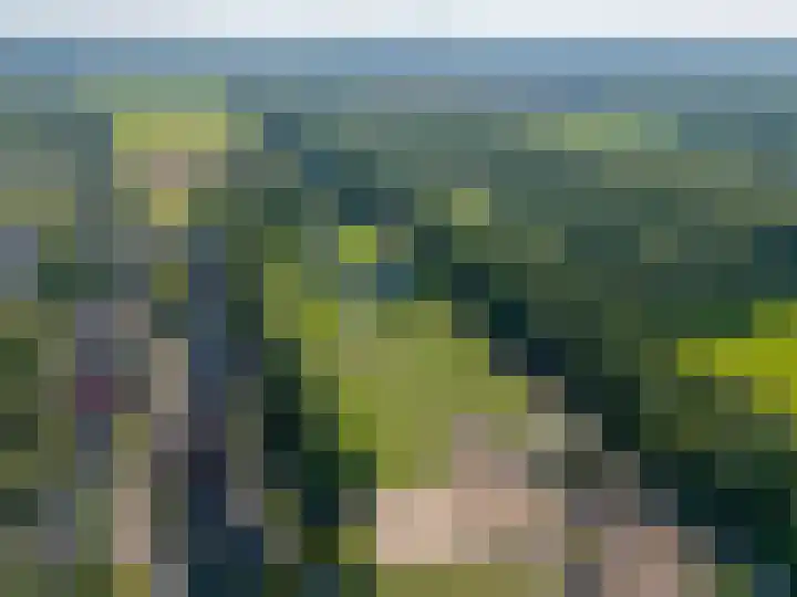 Betje Wolfflaan 6 Veenendaal thumbnail 57