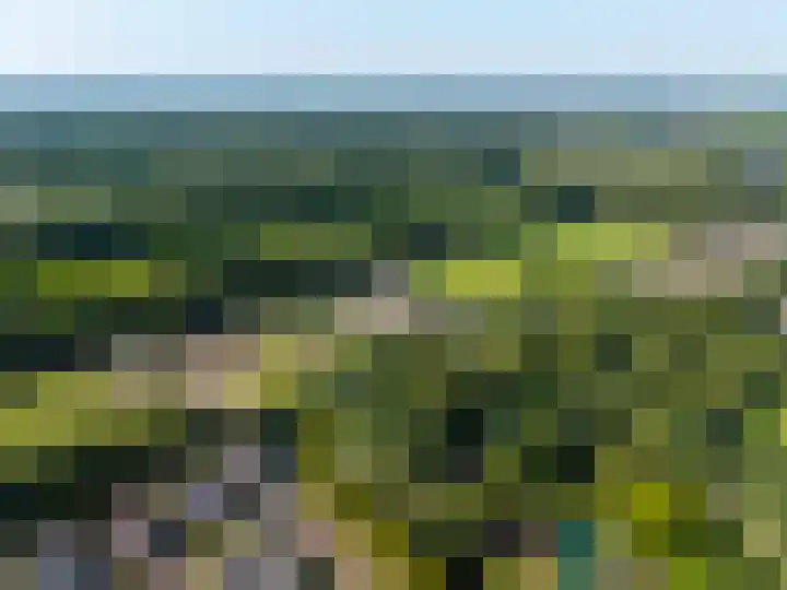 Betje Wolfflaan 6 Veenendaal thumbnail 58