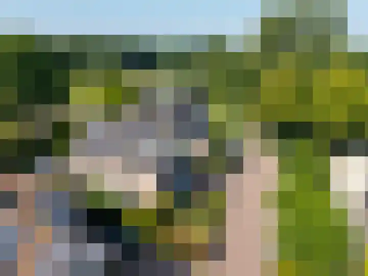 Betje Wolfflaan 6 Veenendaal thumbnail 59
