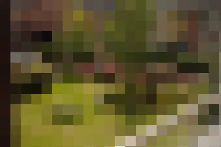 Betje Wolfflaan 68 Bussum thumbnail 18