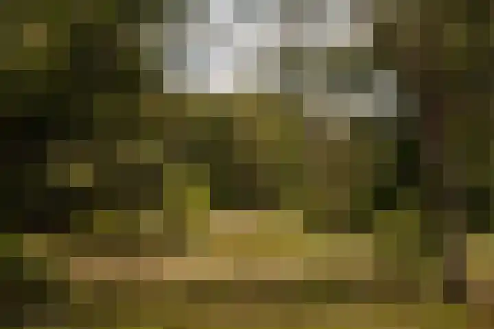 Betje Wolfflaan 68 Bussum thumbnail 4