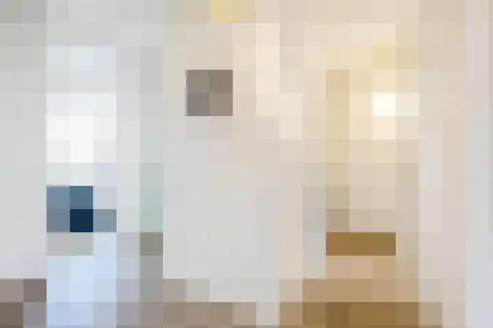 Betje Wolfflaan 86 Bussum thumbnail 4