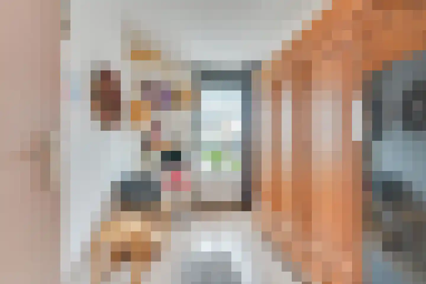Betje Wolffplein 17 Hoorn thumbnail 25