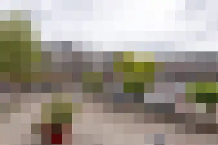Betje Wolffplein 7 Hoorn thumbnail 34
