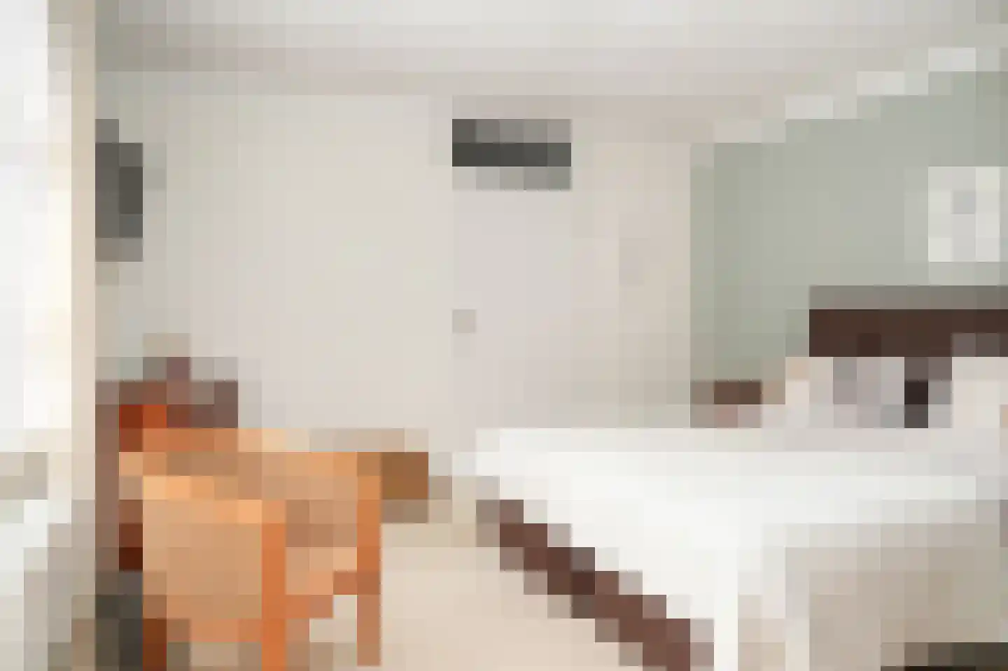 Betje Wolffstraat 1 Schijndel thumbnail 17
