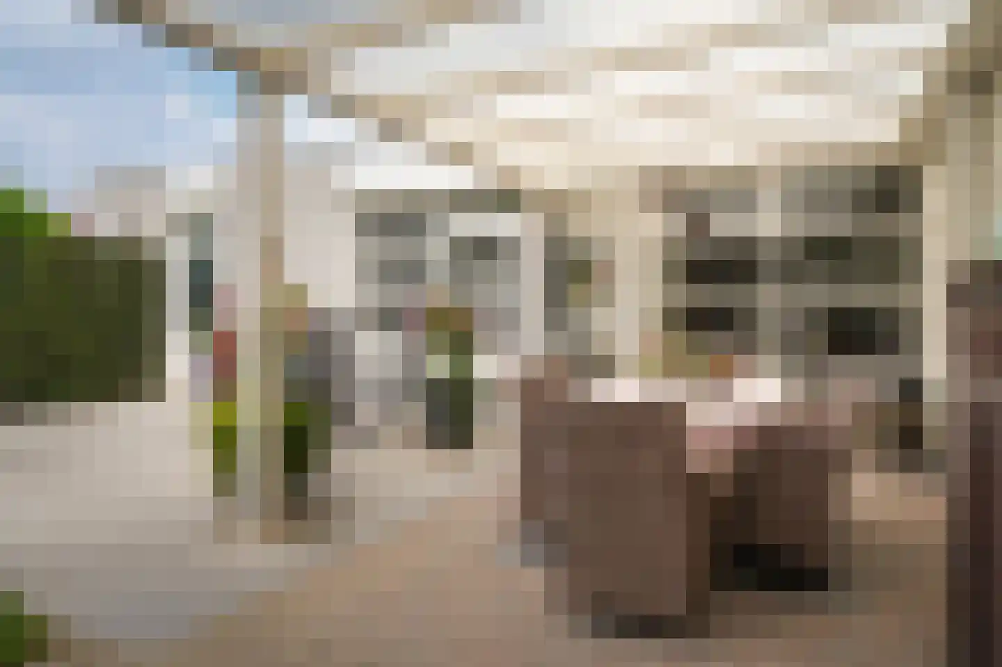 Betje Wolffstraat 1 Schijndel thumbnail 27