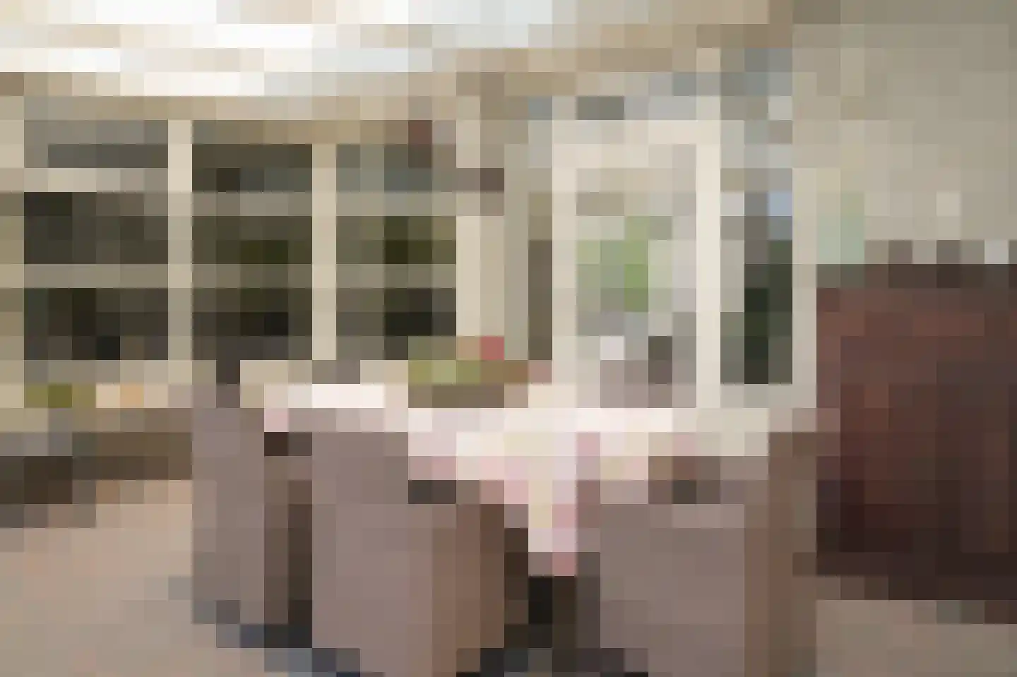 Betje Wolffstraat 1 Schijndel thumbnail 28