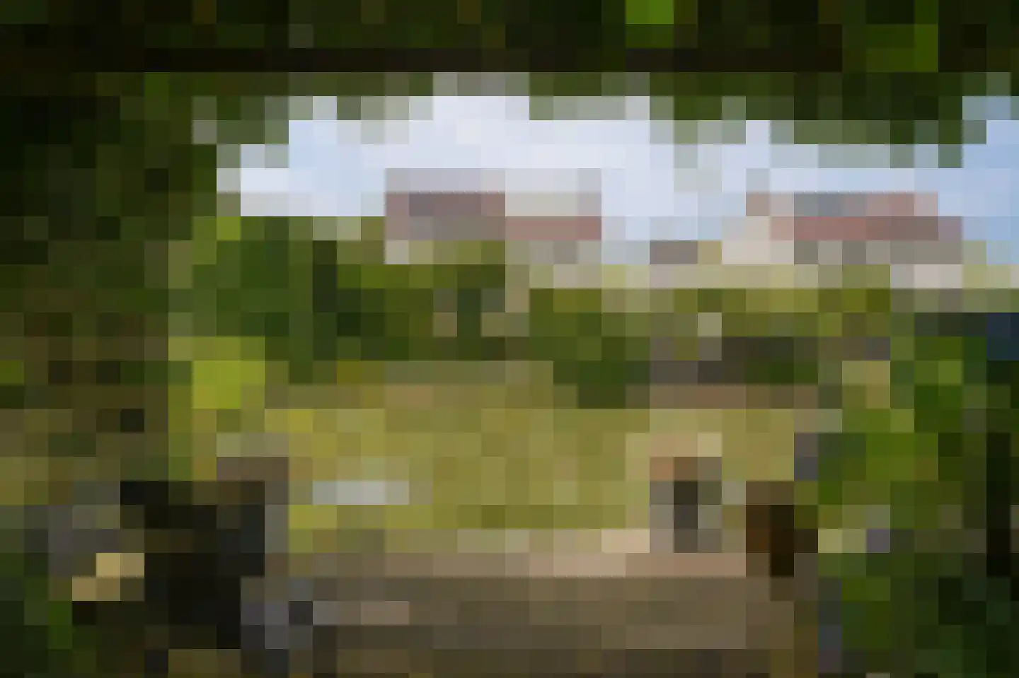 Betje Wolffstraat 1 Schijndel thumbnail 31