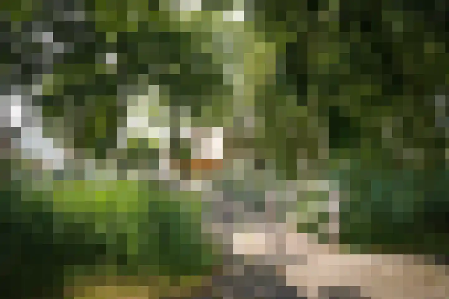 Betje Wolffstraat 1 Schijndel thumbnail 36