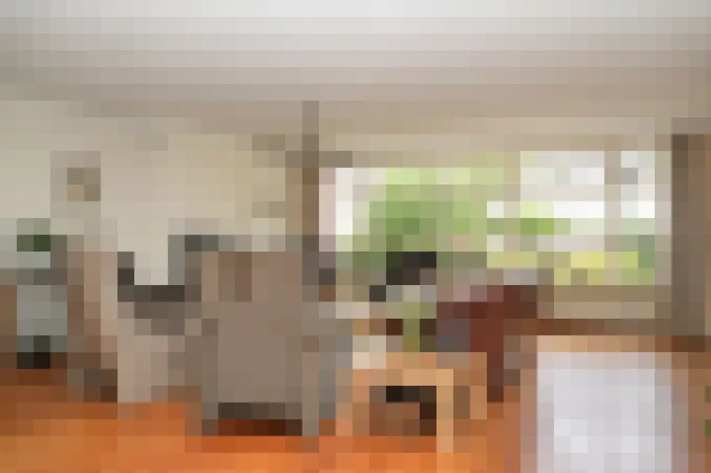 Betje Wolffstraat 1 Schijndel thumbnail 6