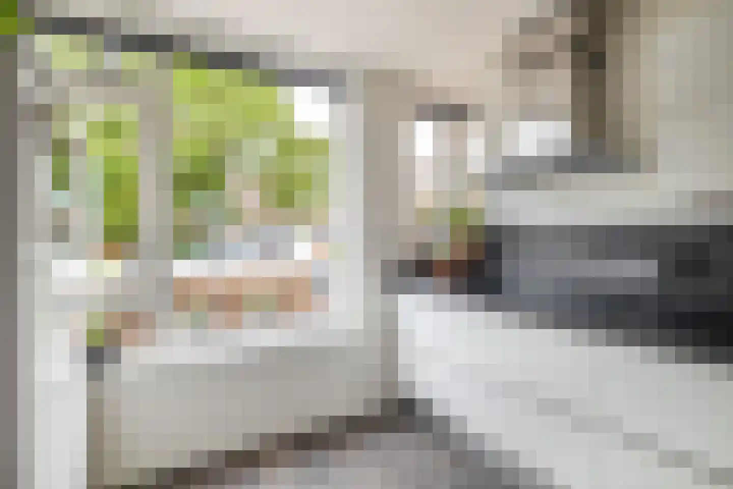 Betje Wolffstraat 10 Sommelsdijk thumbnail 22