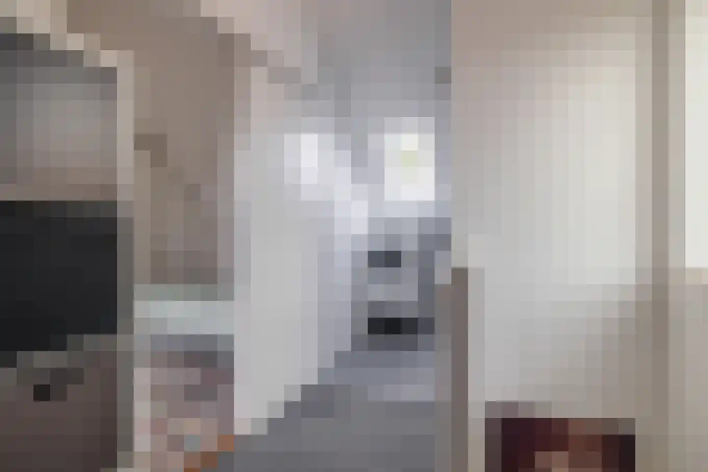 Betje Wolffstraat 10 Sommelsdijk thumbnail 25