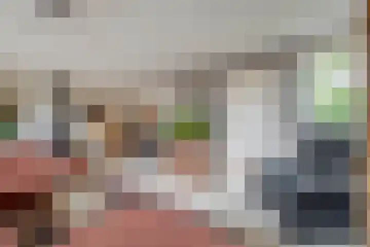 Betje Wolffstraat 12 Sommelsdijk thumbnail 11
