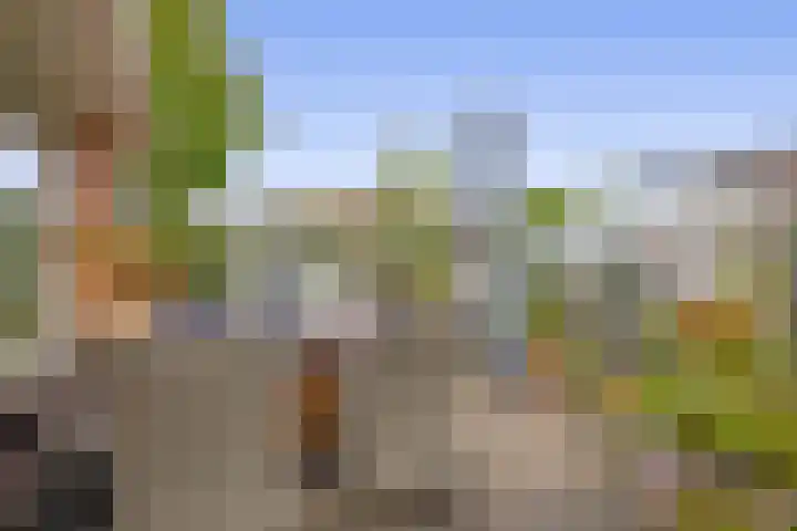 Betje Wolffstraat 12 Sommelsdijk thumbnail 32