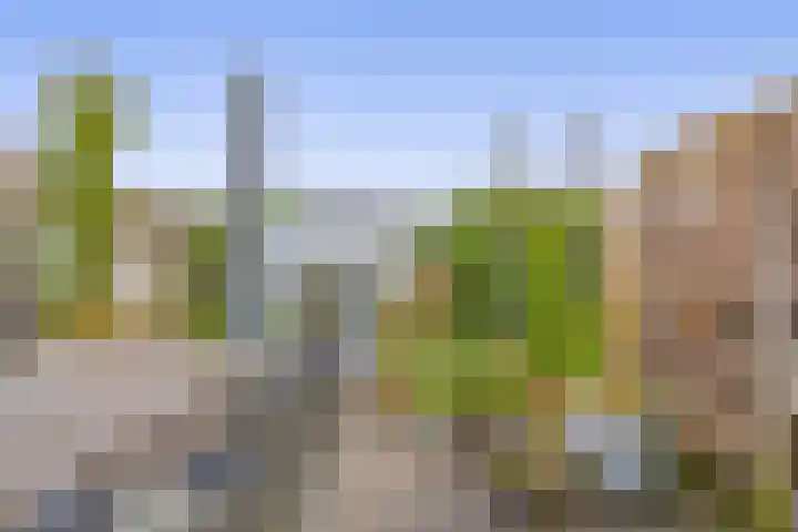 Betje Wolffstraat 12 Sommelsdijk thumbnail 33