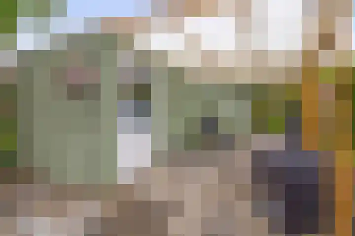 Betje Wolffstraat 12 Sommelsdijk thumbnail 35