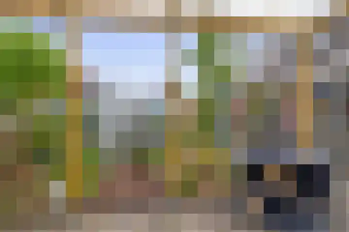 Betje Wolffstraat 12 Sommelsdijk thumbnail 36