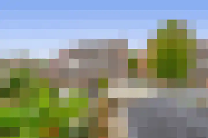 Betje Wolffstraat 12 Sommelsdijk thumbnail 41