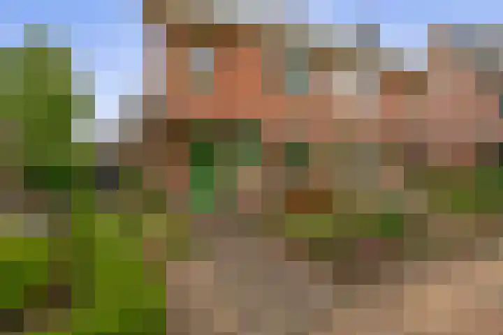 Betje Wolffstraat 12 Sommelsdijk thumbnail 5