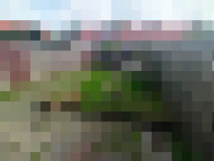 Betje Wolffstraat 13 Alkmaar thumbnail 4