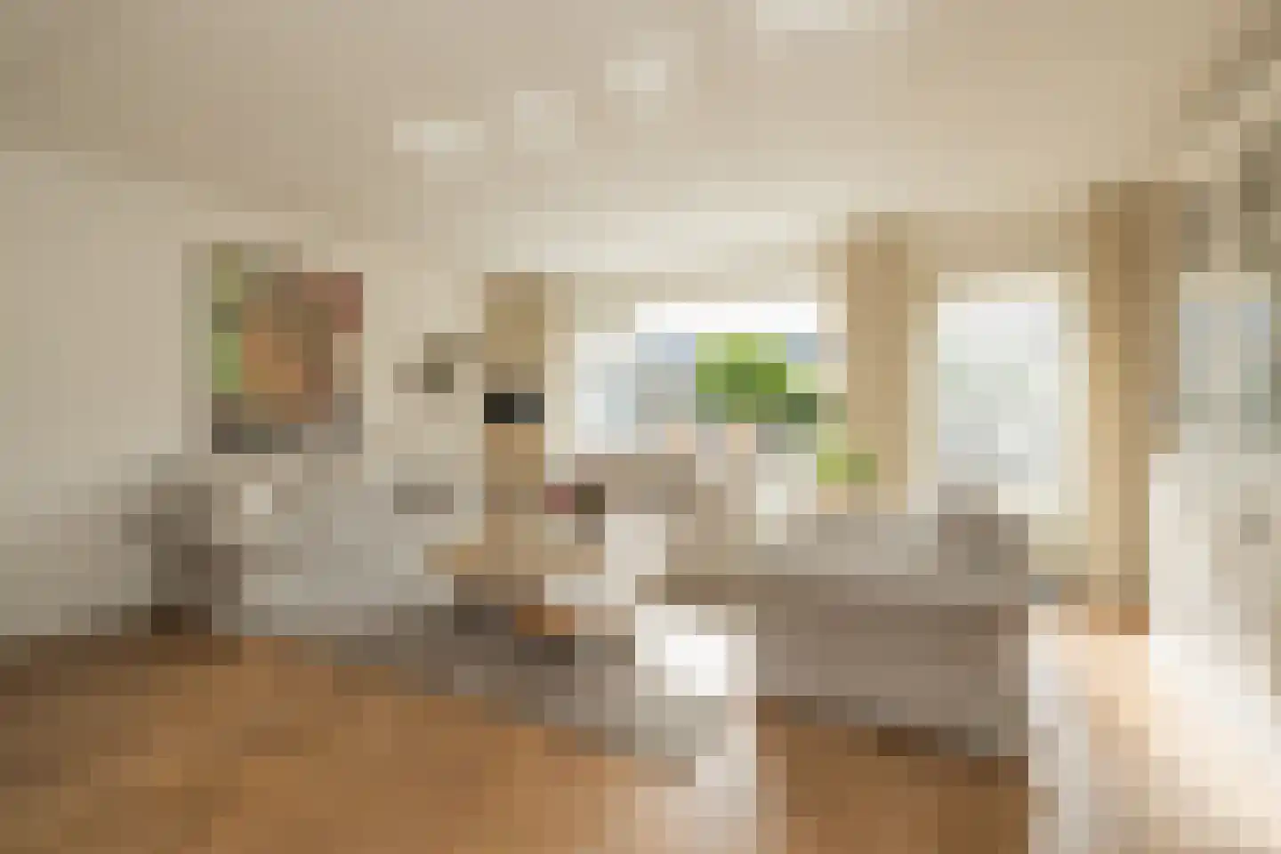 Betje Wolffstraat 14 Lisse thumbnail 12