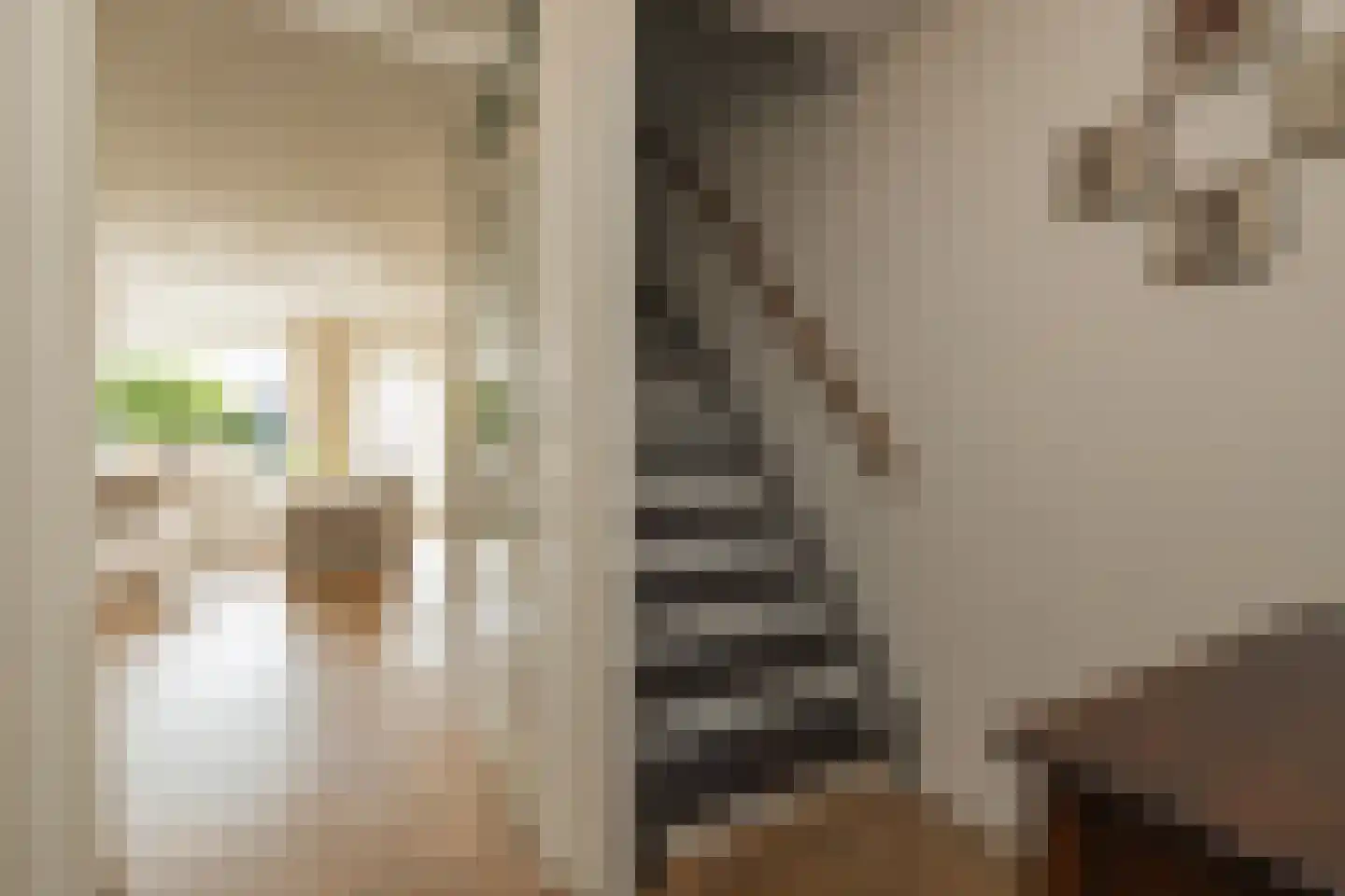 Betje Wolffstraat 14 Lisse thumbnail 17