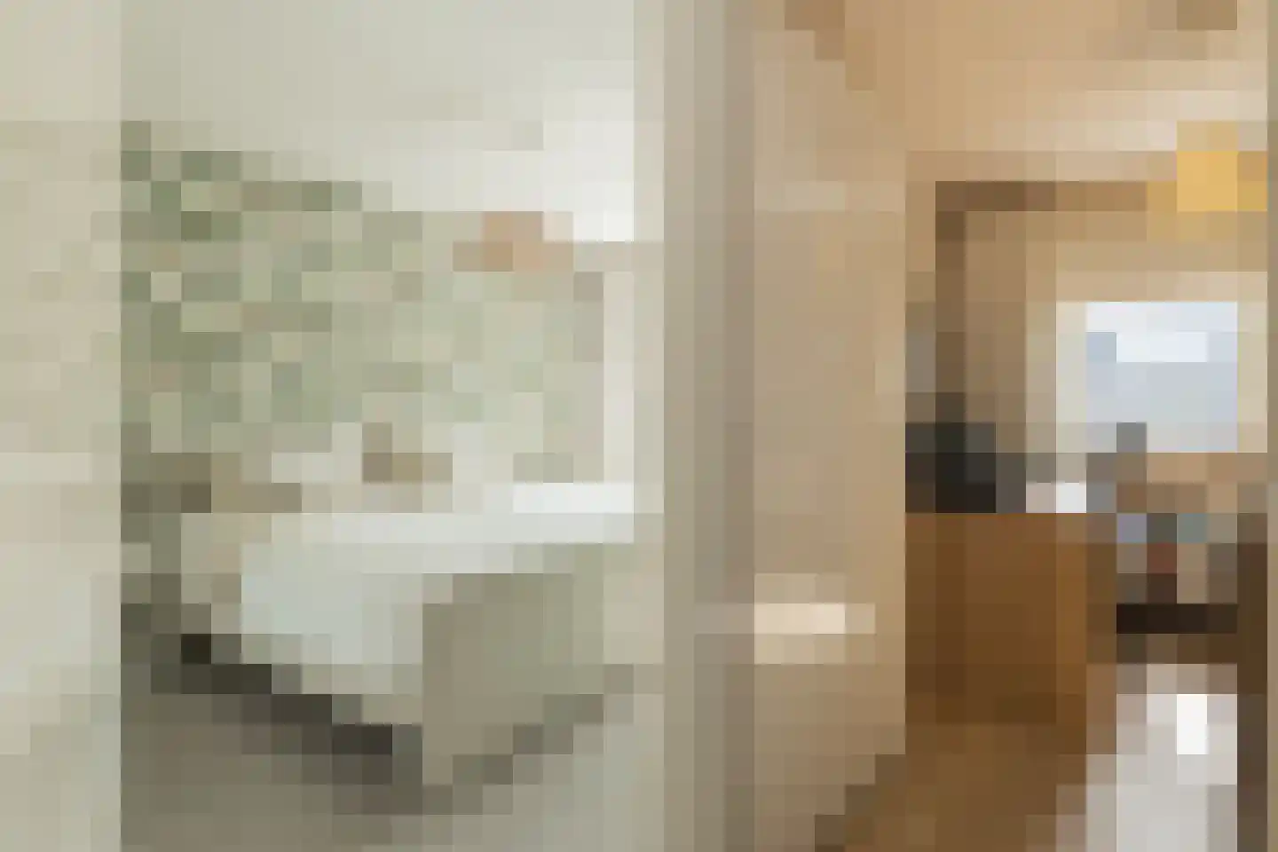 Betje Wolffstraat 14 Lisse thumbnail 12