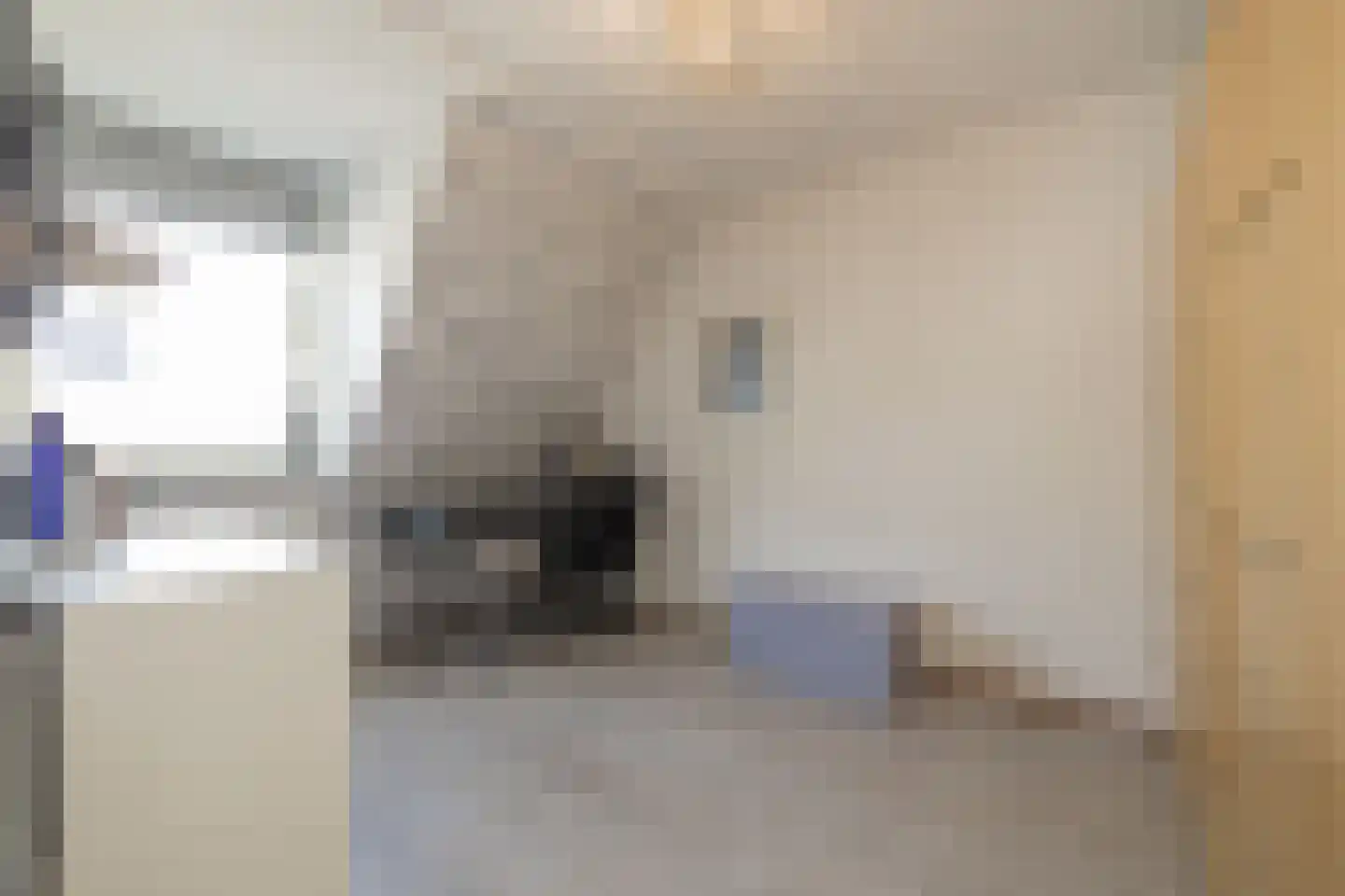 Betje Wolffstraat 14 Lisse thumbnail 25
