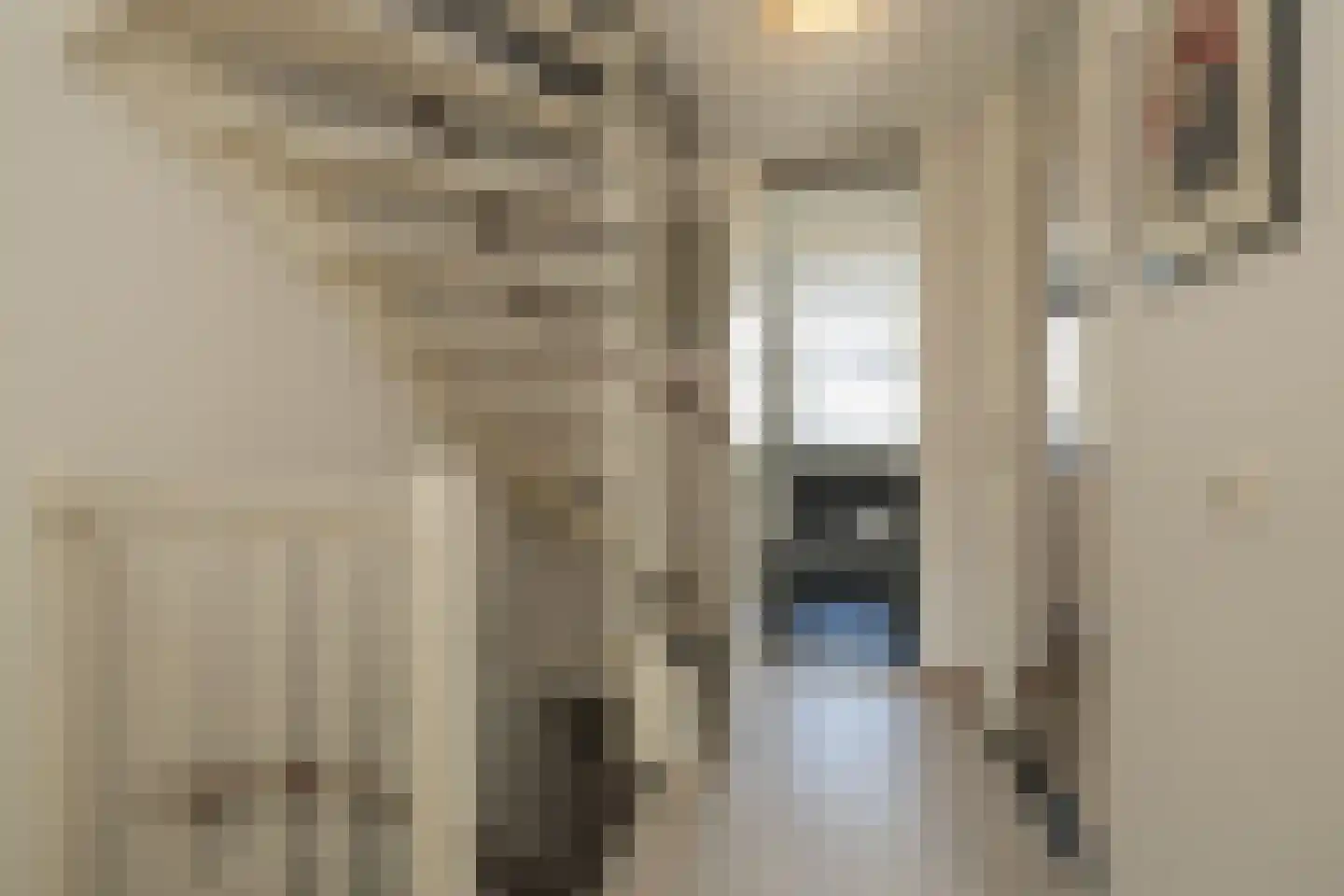 Betje Wolffstraat 14 Lisse thumbnail 26