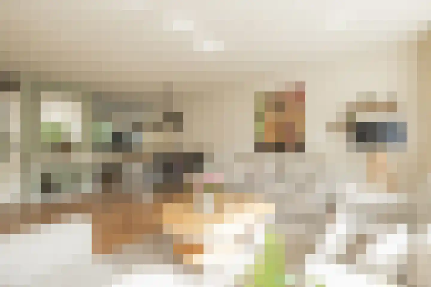 Betje Wolffstraat 14 Lisse thumbnail 5
