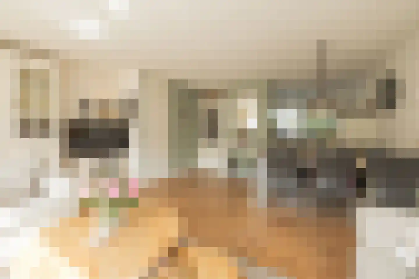 Betje Wolffstraat 14 Lisse thumbnail 6