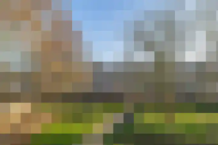 Betje Wolffstraat 16 Groningen thumbnail 16