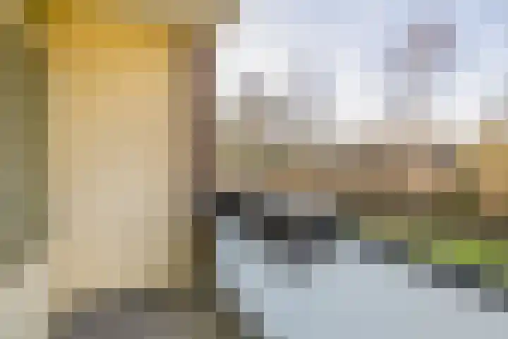 Betje Wolffstraat 16 Groningen thumbnail 21