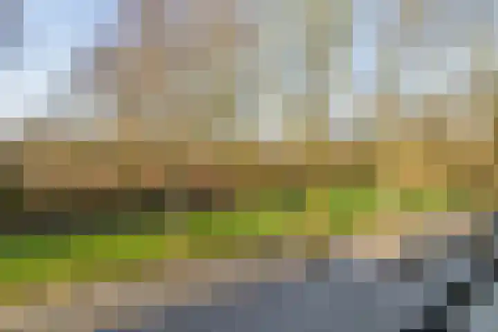 Betje Wolffstraat 16 Groningen thumbnail 22