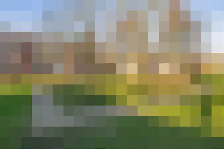 Betje Wolffstraat 16 Groningen thumbnail 26