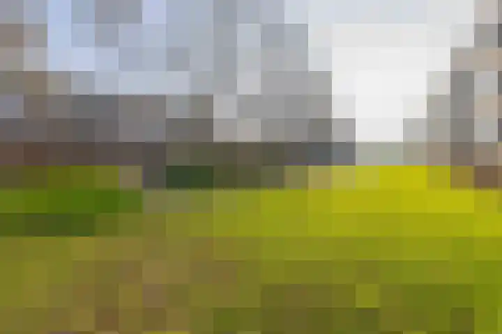 Betje Wolffstraat 16 Groningen thumbnail 27